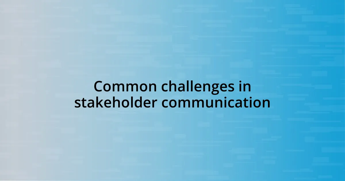 Common challenges in stakeholder communication